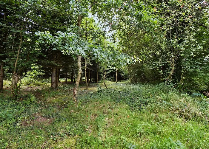 Semesterbostad Cozy In Aarup With Wifi *